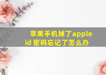 苹果手机掉了apple id 密码忘记了怎么办